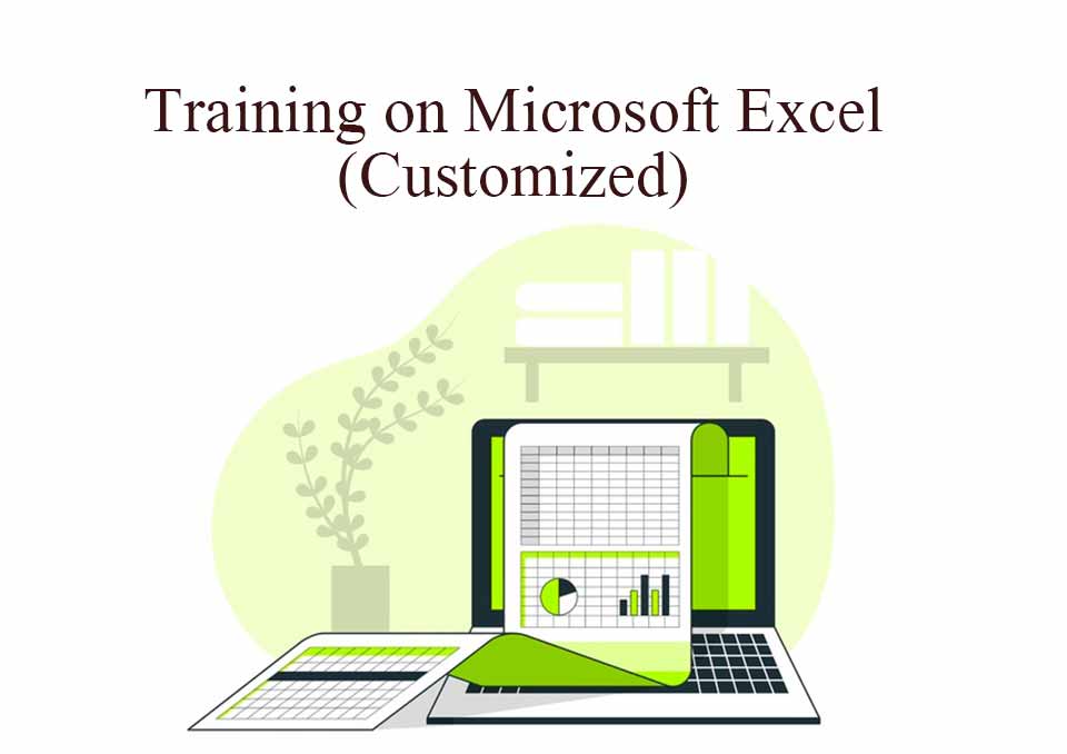 MS Excel Customized